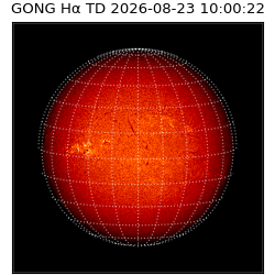 gong - 2026-08-23T10:00:22