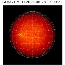 gong - 2026-08-23T13:00:22