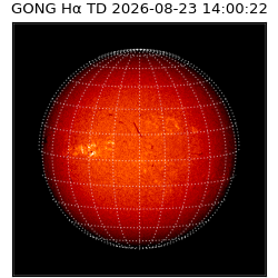 gong - 2026-08-23T14:00:22