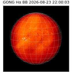 gong - 2026-08-23T22:00:03