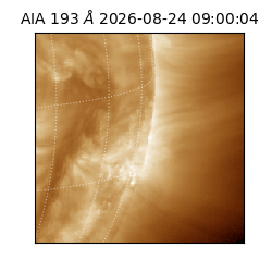 saia - 2026-08-24T09:00:04.842000