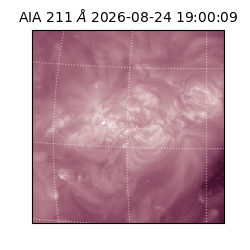 saia - 2026-08-24T19:00:09.624000