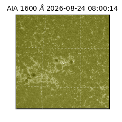 saia - 2026-08-24T08:00:14.123000