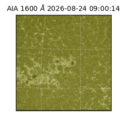 saia - 2026-08-24T09:00:14.124000