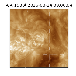saia - 2026-08-24T09:00:04.842000