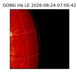 gong - 2026-08-24T07:00:42