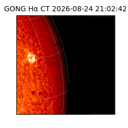 gong - 2026-08-24T21:02:42