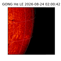 gong - 2026-08-24T02:00:42