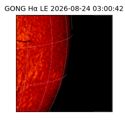 gong - 2026-08-24T03:00:42