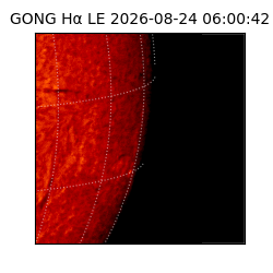 gong - 2026-08-24T06:00:42
