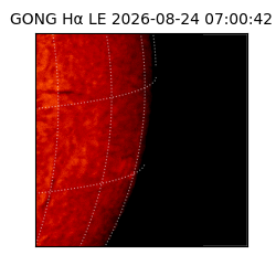 gong - 2026-08-24T07:00:42