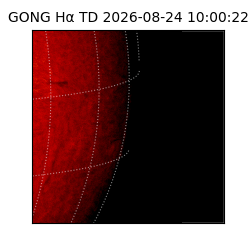 gong - 2026-08-24T10:00:22