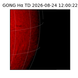 gong - 2026-08-24T12:00:22