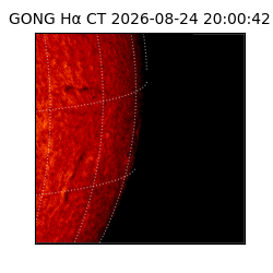 gong - 2026-08-24T20:00:42