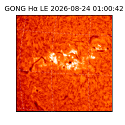 gong - 2026-08-24T01:00:42