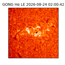 gong - 2026-08-24T02:00:42