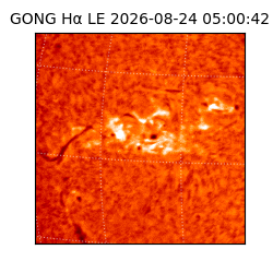 gong - 2026-08-24T05:00:42