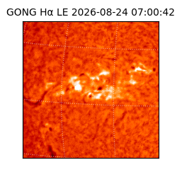 gong - 2026-08-24T07:00:42