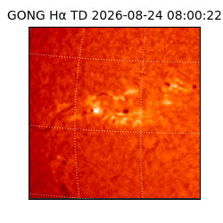 gong - 2026-08-24T08:00:22