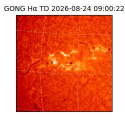 gong - 2026-08-24T09:00:22