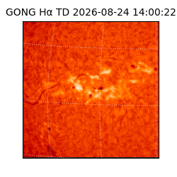 gong - 2026-08-24T14:00:22