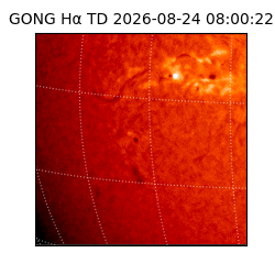 gong - 2026-08-24T08:00:22