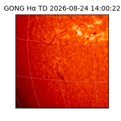 gong - 2026-08-24T14:00:22