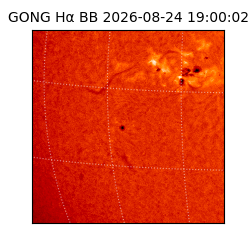 gong - 2026-08-24T19:00:02