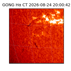 gong - 2026-08-24T20:00:42