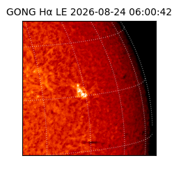 gong - 2026-08-24T06:00:42
