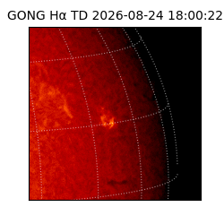 gong - 2026-08-24T18:00:22
