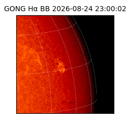 gong - 2026-08-24T23:00:02
