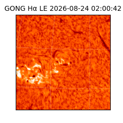 gong - 2026-08-24T02:00:42