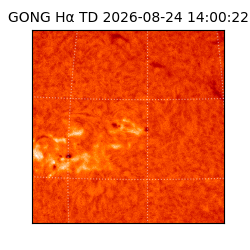 gong - 2026-08-24T14:00:22