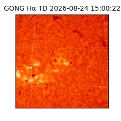 gong - 2026-08-24T15:00:22