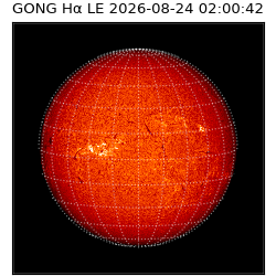 gong - 2026-08-24T02:00:42