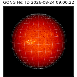 gong - 2026-08-24T09:00:22