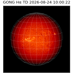 gong - 2026-08-24T10:00:22