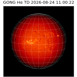 gong - 2026-08-24T11:00:22