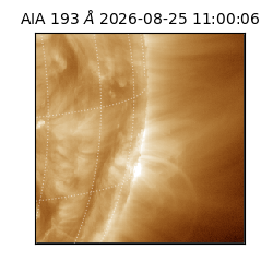 saia - 2026-08-25T11:00:06.647000