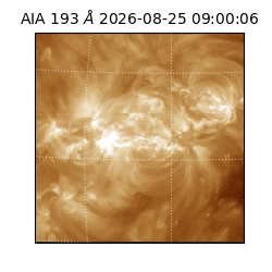 saia - 2026-08-25T09:00:06.419000