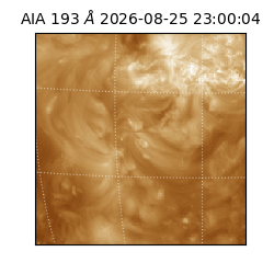 saia - 2026-08-25T23:00:04.842000