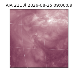 saia - 2026-08-25T09:00:09.623000