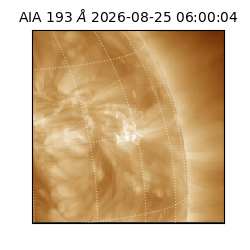 saia - 2026-08-25T06:00:04.842000