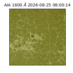 saia - 2026-08-25T08:00:14.124000