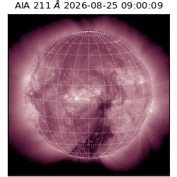 saia - 2026-08-25T09:00:09.623000