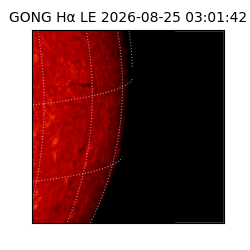 gong - 2026-08-25T03:01:42
