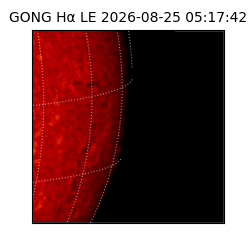gong - 2026-08-25T05:17:42