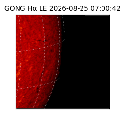 gong - 2026-08-25T07:00:42