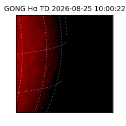 gong - 2026-08-25T10:00:22